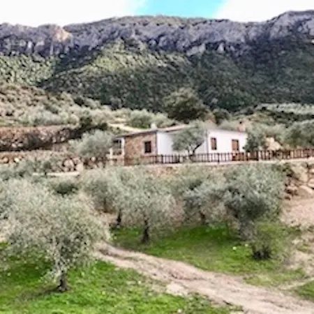 Pietra, Immersa Nel Verde. Area Relax E Bbq Доргали
