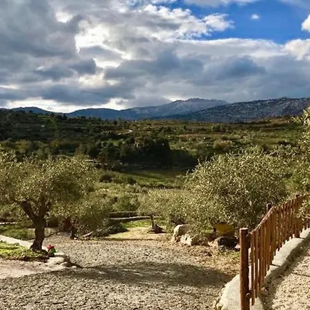 Pietra, Immersa Nel Verde. Area Relax E Bbq