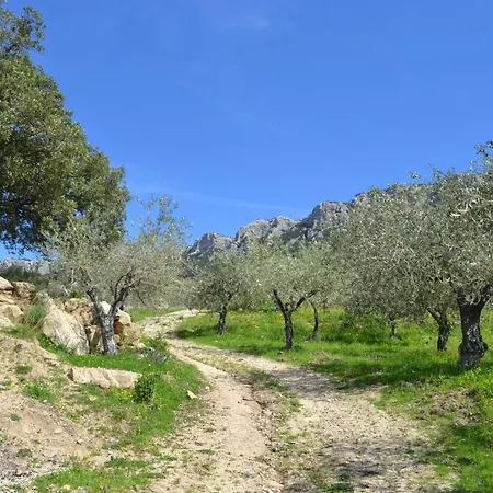 Pietra, Immersa Nel Verde. Area Relax E Bbq Вилла Доргали